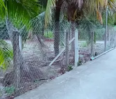 Mặt tiền An Sơn 32, 500m² thổ cư 100m².
Đường xe tải ra vào, địa điểm đông dân ở, gần khu biệt
