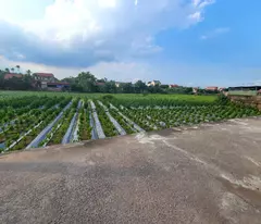 Bán lô đất View sông Đông Tảo diện tích 81m mặt tiền 4.5m đường hơn rộng 5m oto chạy vòng quanh.