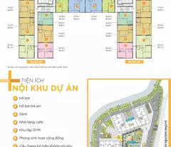 Bán căn hộ Lavida Plus mặt tiền đường Nguyễn Văn Linh Q7 kế bên tuyến ga Metro và KĐT Phú Mỹ Hưng