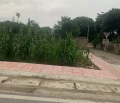 Siêu phẩm trục chính Phú Mãn Quốc Oai, kinh doanh, oto tránh 121m nhỉnh 3 tỷ