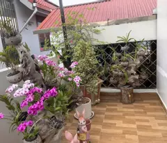 Bán nhà Bồ Đề sát phố, 60m2 x 5 tầng, giá 11.5 tỷ