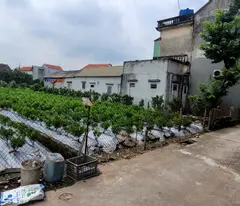 Bán đất dân đường oto tại Mễ Sở cách vành đai 4, 3 phút chạy xe giá đầu tư