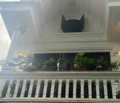 Cho Thuê Nhà 2 Tầng Kiên Cố Đường Bùi Thị Xuân Gần Ga Huế - Giá Chỉ 12 Triệu/Tháng!