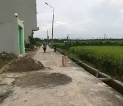 Bán 90m2 đất khu quy hoạch dân cư xã Nguyên Khê Đông Anh Hà Nội 60tr/m2