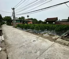 Bán đất Đức Nhuận Dạ Trạch diện tích 125m mặt tiền 5.5m nở hậu giá đầu tư