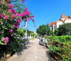 Chính chủ gủi bán lô góc 3 mặt thoáng diện tích 86m mặt tiền 5m nở hậu đường oto