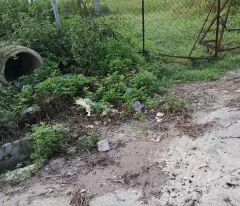 Bán đất nông nghiệp 1676m2, xã Thụy Lâm Đông Anh Hà Nội 4 tỷ 200 triệu