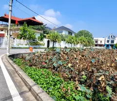 Bán lô góc View hồ mặt tiền bám đường hơn 20m tại Thắng Lợi Văn Giang