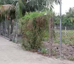 Bán đất An Sơn 46 (An Sơn 01 quẹo vào 200m).
bán đất An Sơn 32 Thành Phố Thuận An, Bình Dương