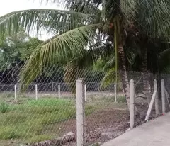 Bán đất Dường  An Sơn 32 Thành Phố Thuận An, Bình Dương giá rẽ 
Diện tích ngang 15m x dài 31m =