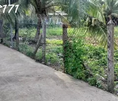 Bán đất Dường  An Sơn 32 Thành Phố Thuận An, Bình Dương giá rẽ 
Diện tích ngang 15m x dài 31m =