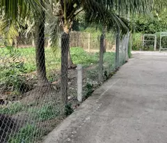 Bán đất Dường  An Sơn 32 Thành Phố Thuận An, Bình Dương giá rẽ 
Diện tích ngang 15m x dài 31m =