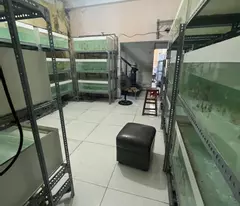 Bán nhà 2 mặt tiền khu DC Nam Long, An Lạc, Bình Tân, 4mx14m, 4 tầng có sân thượng, 6,5 tỷ