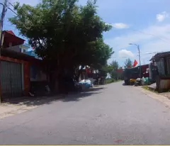 Đất Đông Động, Đông Hưng, Thái Bình