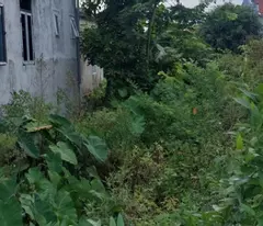 Chính Chủ Bán Nhanh 250m² Đất Mặt Tiền 10m - Đường Rộng 5m, Giá Chỉ 2,37 Tỷ