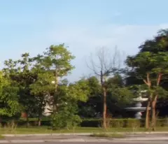 Chính Chủ Bán Đất Lớn 50.000m² - Mặt Tiền 164m, Sẵn Nhà Gỗ Lim & Ao Cá