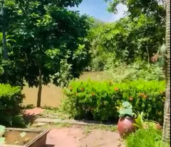 Chính Chủ Bán Đất Lớn 50.000m² - Mặt Tiền 164m, Sẵn Nhà Gỗ Lim & Ao Cá