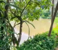 Chính Chủ Bán Đất Lớn 50.000m² - Mặt Tiền 164m, Sẵn Nhà Gỗ Lim & Ao Cá