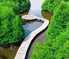 Căn Hộ Biển Hồ Tràm Lagoona Bình Châu Mở Bán Giai Đoạn 1 Giá Đầu Tư Thanh Toán Siêu Gian Tới 2028