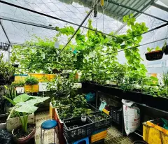 Bán Nhà Nguyễn Đình Chiểu Quận 3 Phường 4.