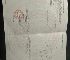 Chưa đến 2 tỷ bạn đã sở hửu ngay lô đât 76m mặt tiền 5.68 tại Đan Kim Liên Nghĩa gần trục đường 205