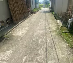 Chính chủ bán đất Vân Nội, Đông Anh 50m2 mặt tiền 4m, ô tô vào đất, hàng xóm vin Cổ Loa, giá chỉ 3
