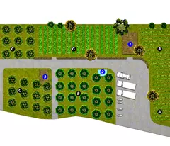 Chủ chuyển về quê sinh sống, cần bán lô đất rộng khoảng 2400m2, đất trồng cây lâu năm.