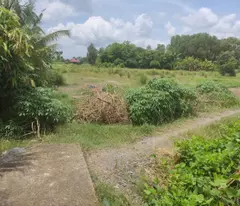 Chủ chuyển về quê sinh sống, cần bán lô đất rộng khoảng 2400m2, đất trồng cây lâu năm.