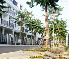 Bán liên kề La Vida Vũng Tàu 4ty465  bao thuế phí sang nhượng