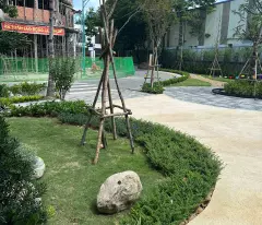 Nhà phố hoàn thiện trong ngoài, đường 13m giá 990tr