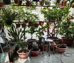 Nhà 4 tầng Cao Văn Ngọc, P Phú Trung, Tân Phú, Giá 5 tỷ 7 TL