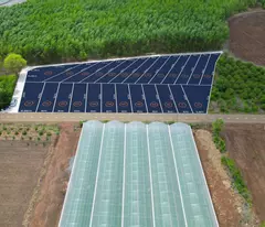 CẦN TIỀN, bán rẻ lô đất Thổ Cư gần sân bay Lộc An giá 3tr7/m2, công chứng sang tên ngay
