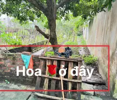 Bán đất thổ cư 90,6m2 Đại Độ, Võng La, Đông Anh, Hà Nội