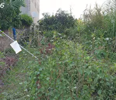 Bán đất đẹp Quận Bắc Từ Liêm ô tô vào 5m ô tô tránh,ngõ thông 54 m2 ,hơn 4 tỷ.