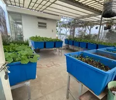 BÁN NHÀ 4 TẤM- ĐƯỜNG PHẠM VĂN BẠCH - 54.6M2 - HXH- GIÁ BÁN 8.4 TỶ TL