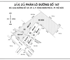 Bán 2 Lô - Mặt Tiền Vành Đai 2 - Tăng Nhơn Phú B, Quận 9