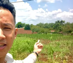 Bán Rẻ 3 sổ (836m2). Giá 290 triệu/sổ MTKD chợ TTT xã vào, Full thổ sổ riêng