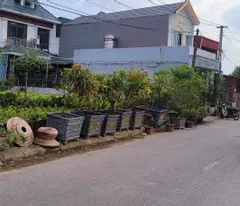 Bán lô đất Hàng Xóm Ecopark, View Hồ thoáng mát vĩnh viễn diện tích 105m2, mặt tiền hơn 6m
