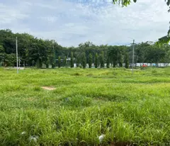 Bán Đất nền Phường Hòa Lợi, Bến Cát, Bình Dương Diện tích 5x16 80m2 Thổ cư giá rẻ