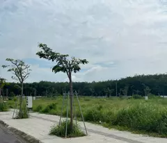 Bán Đất nền Phường Hòa Lợi, Bến Cát, Bình Dương Diện tích 5x16 80m2 Thổ cư giá rẻ