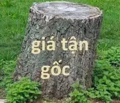 Bán nhà Di Trạch, diện tích 30m2, 5 tầng, oto 4 chỗ đỗ cửa, ngõ thông thoáng, giá 3.x tỷ