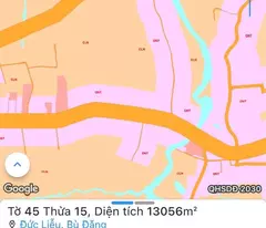 Chính chủ bán nhanh vườn sầu riêng Bù Đăng Bình Phước 6800m2 1,9 tỷ