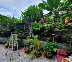Bán biệt thự sân vườn195m2, chỉ 5.9 tỷ