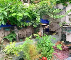 Bán biệt thự sân vườn195m2, chỉ 5.9 tỷ