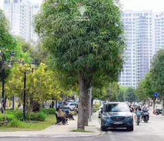 Bán shophouse kinh doanh sầm uất giá tốt Vinhome Grand Park Quận 9. Cần bán shophouse kinh doanh