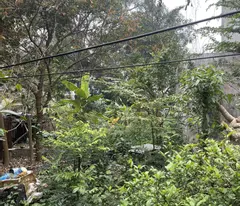 Bán 100m2 đất Bắc Hà, Nam Hồng, Đông Anh, Hà Nội