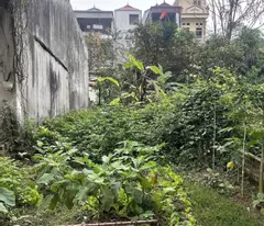 Bán 100m2 đất Bắc Hà, Nam Hồng, Đông Anh, Hà Nội