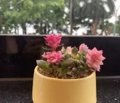 Bán nhà quận Hoàn Kiếm vị trí đẹp rẻ rộng ô tô 99m2 -35 tỷ