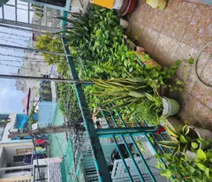 Bán nhà HXH Nguyễn văn Quá, Đông Hưng Thuận, Q12, 41m2 (5 x 8.1) x C4, Chỉ 2.9 tỷ TL