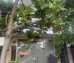 Chính chủ cần bán nhanh nhà 3 lầu phường An Hải Tây, Sơn Trà Đà Nẵng